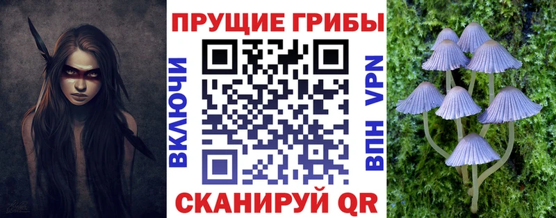 Псилоцибиновые грибы Magic Shrooms  магазин продажи   Новая Усмань 